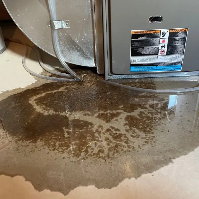 Pipe Burst and Leak Restoration in Goodhue County, MN