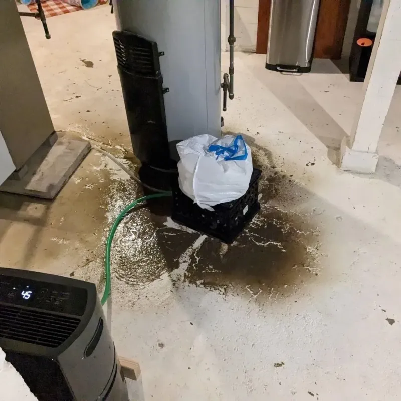 Sewage Backup Cleanup Service in Goodhue County, MN